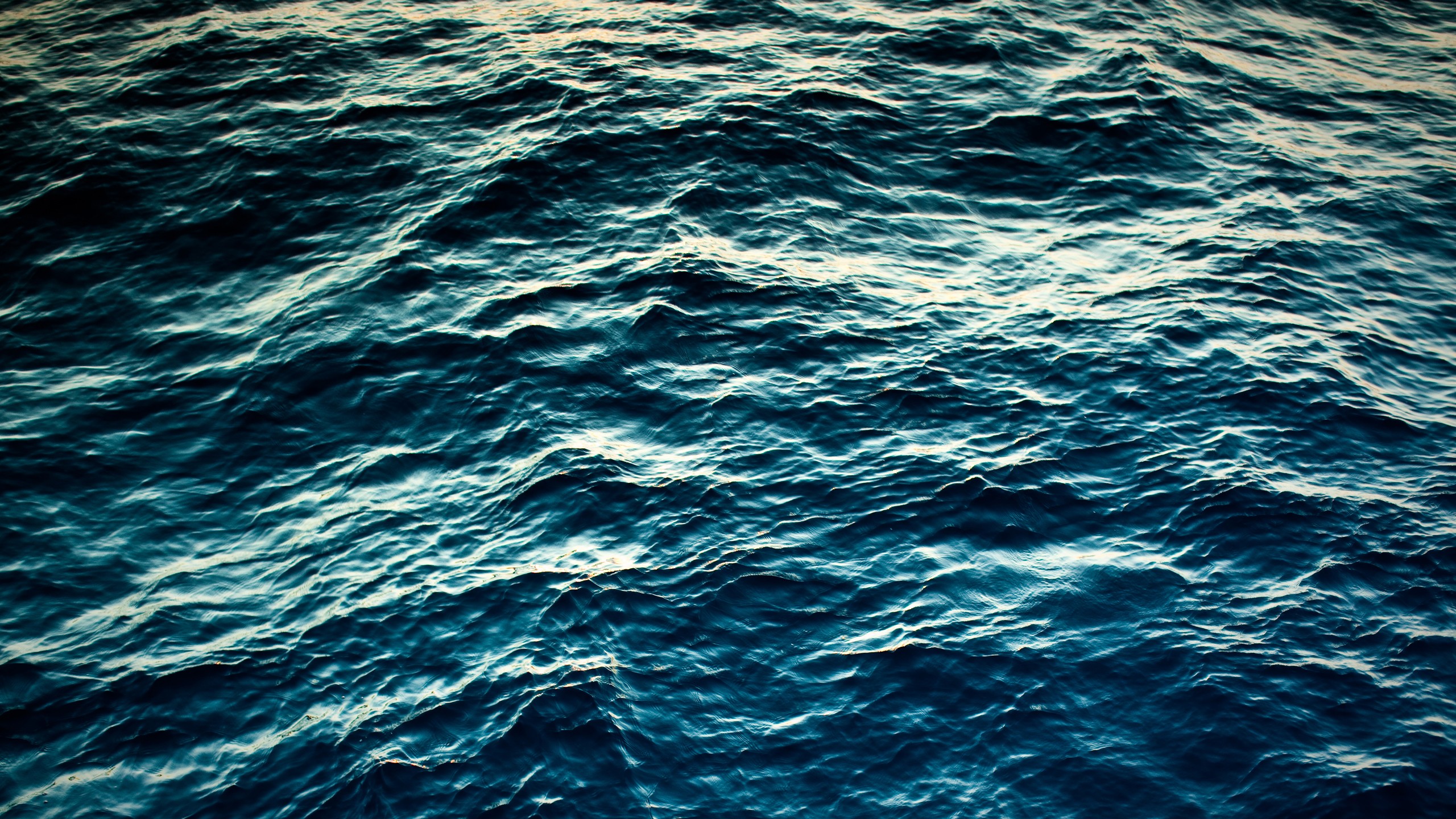 water, Ocean, Seas, Blue, Morpho Wallpaper