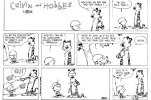 calvin, And, Hobbes, Comics, Dw