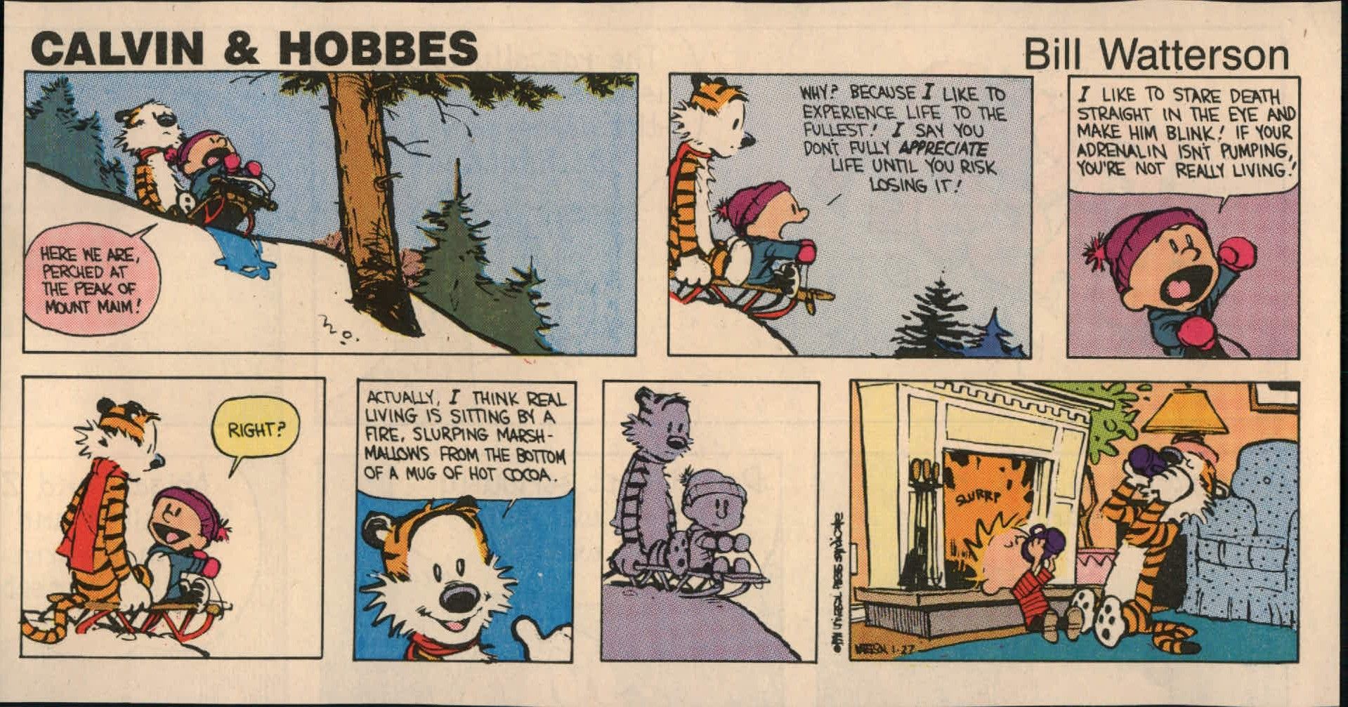calvin, And, Hobbes, Comics, Js Wallpaper