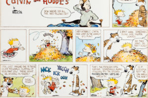 calvin, And, Hobbes, Comics, Rw