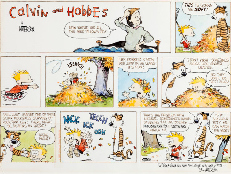 calvin, And, Hobbes, Comics, Rw HD Wallpaper Desktop Background