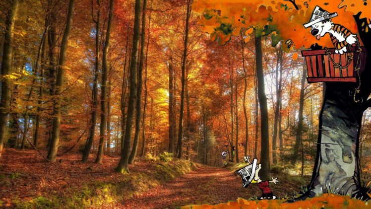 calvin, And, Hobbes, Comics, Autumn, Forest HD Wallpaper Desktop Background