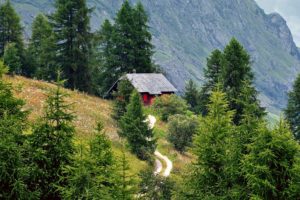 alps, Mountains, Trees, Road, House, Landscape