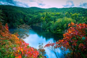 autumn, Forest, Lake, Trees, Waterfalls, Landscape