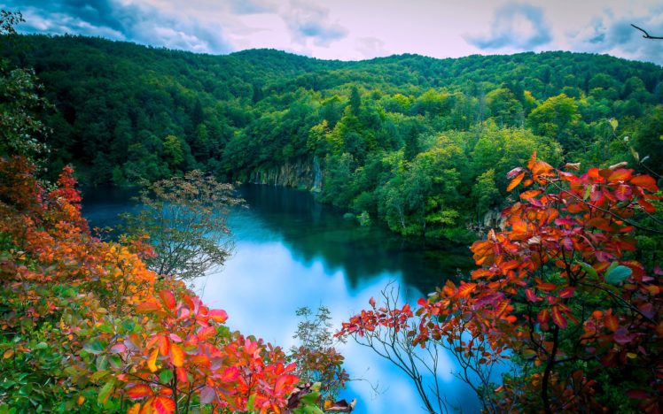 autumn, Forest, Lake, Trees, Waterfalls, Landscape HD Wallpaper Desktop Background
