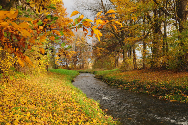 autumn, River, Forest, Trees, Landscape HD Wallpaper Desktop Background