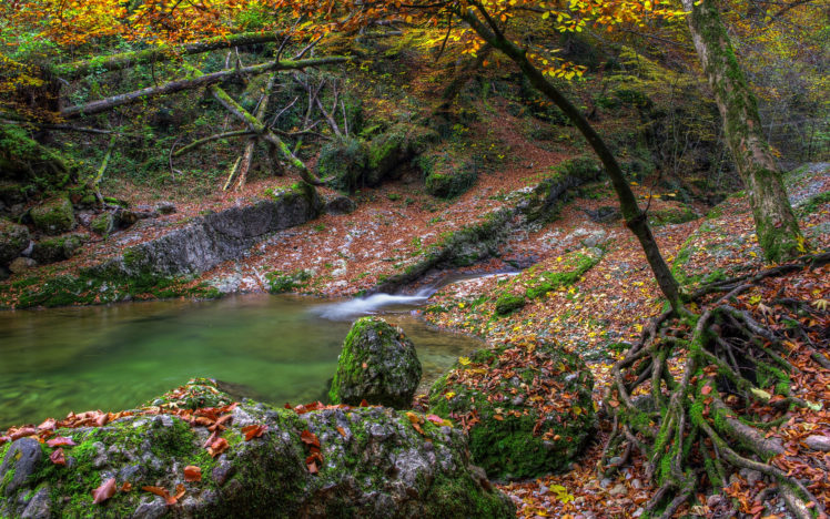 autumn, Water, Stones, Moss, Trees, River, Lake, Leaves HD Wallpaper Desktop Background