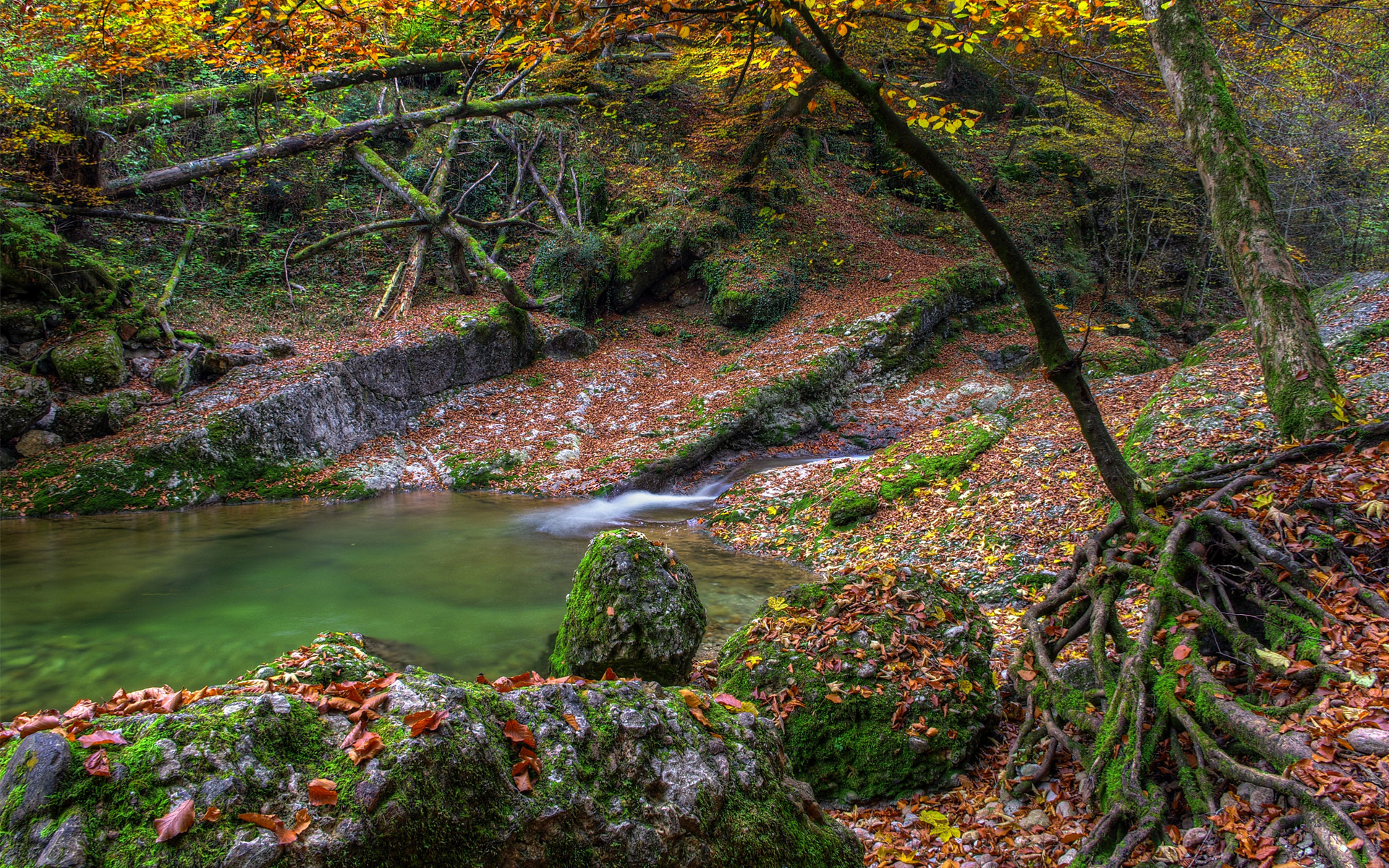 autumn, Water, Stones, Moss, Trees, River, Lake, Leaves Wallpaper