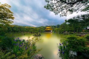 golden, Pavilion, Kyoto, Japan, Lake, Trees, Flowers, Park, Church
