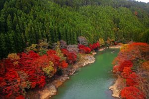 japan, River, Forest, Trees, Autumn