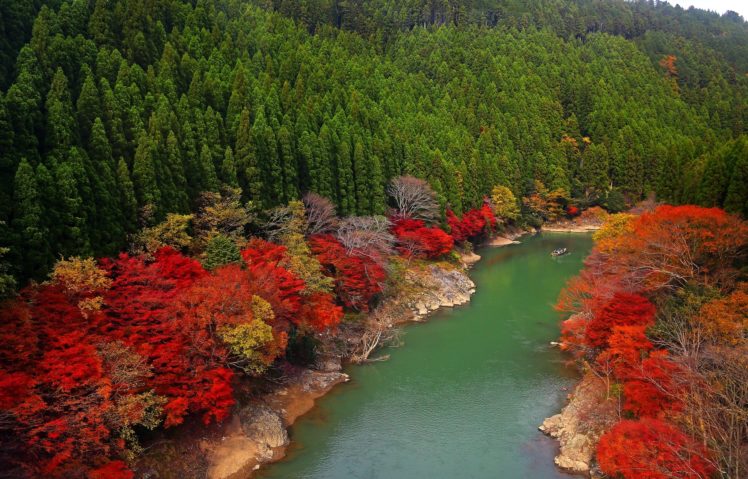 japan, River, Forest, Trees, Autumn HD Wallpaper Desktop Background