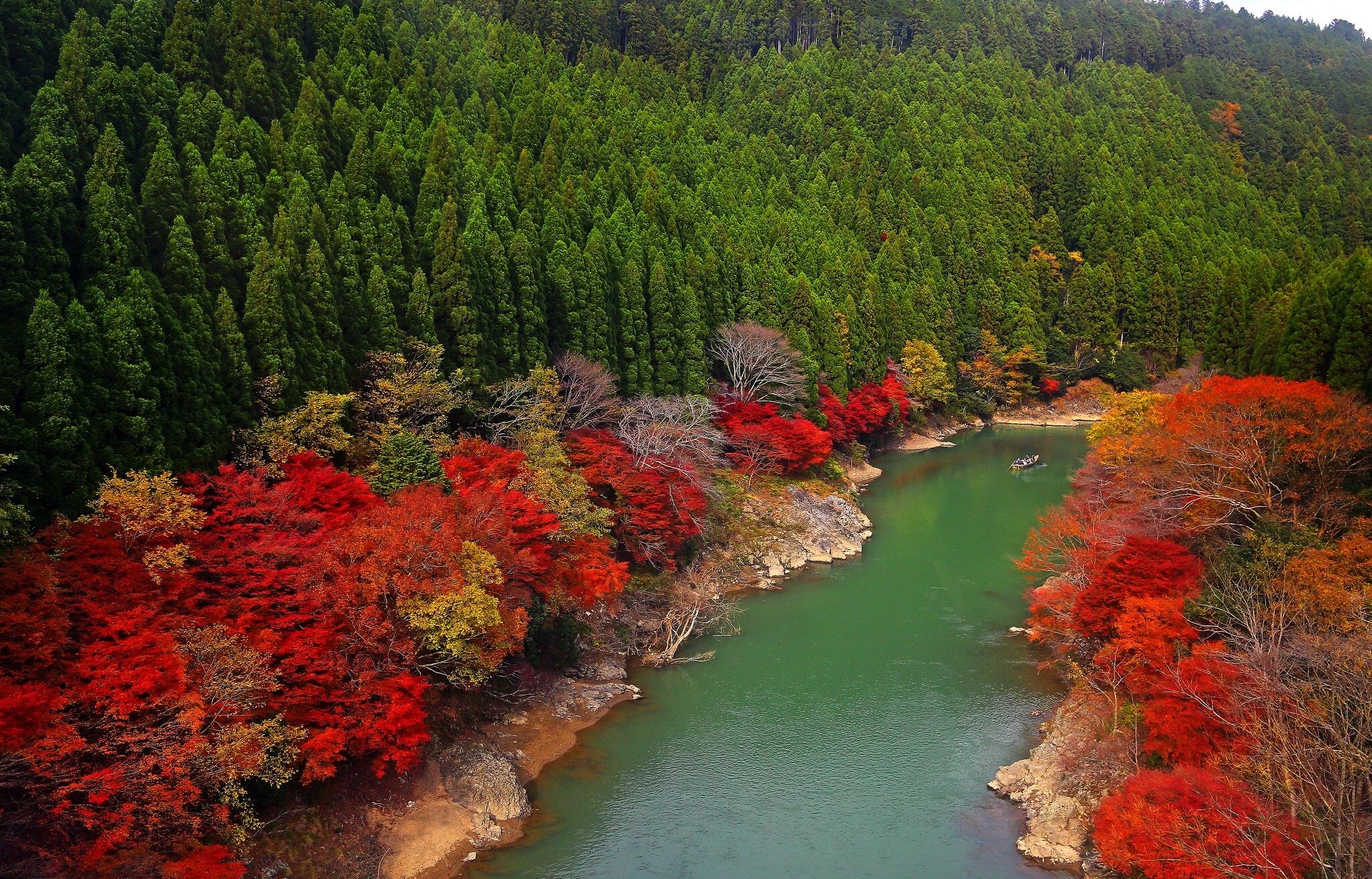 japan, River, Forest, Trees, Autumn Wallpaper