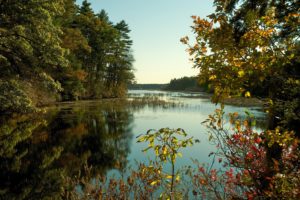 lake, Autumn, Trees, Landscape