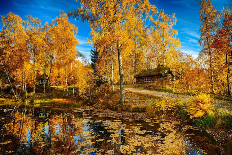 landscape, Nature, Autumn, Lake, Trees, House, Road, Norway HD Wallpaper Desktop Background