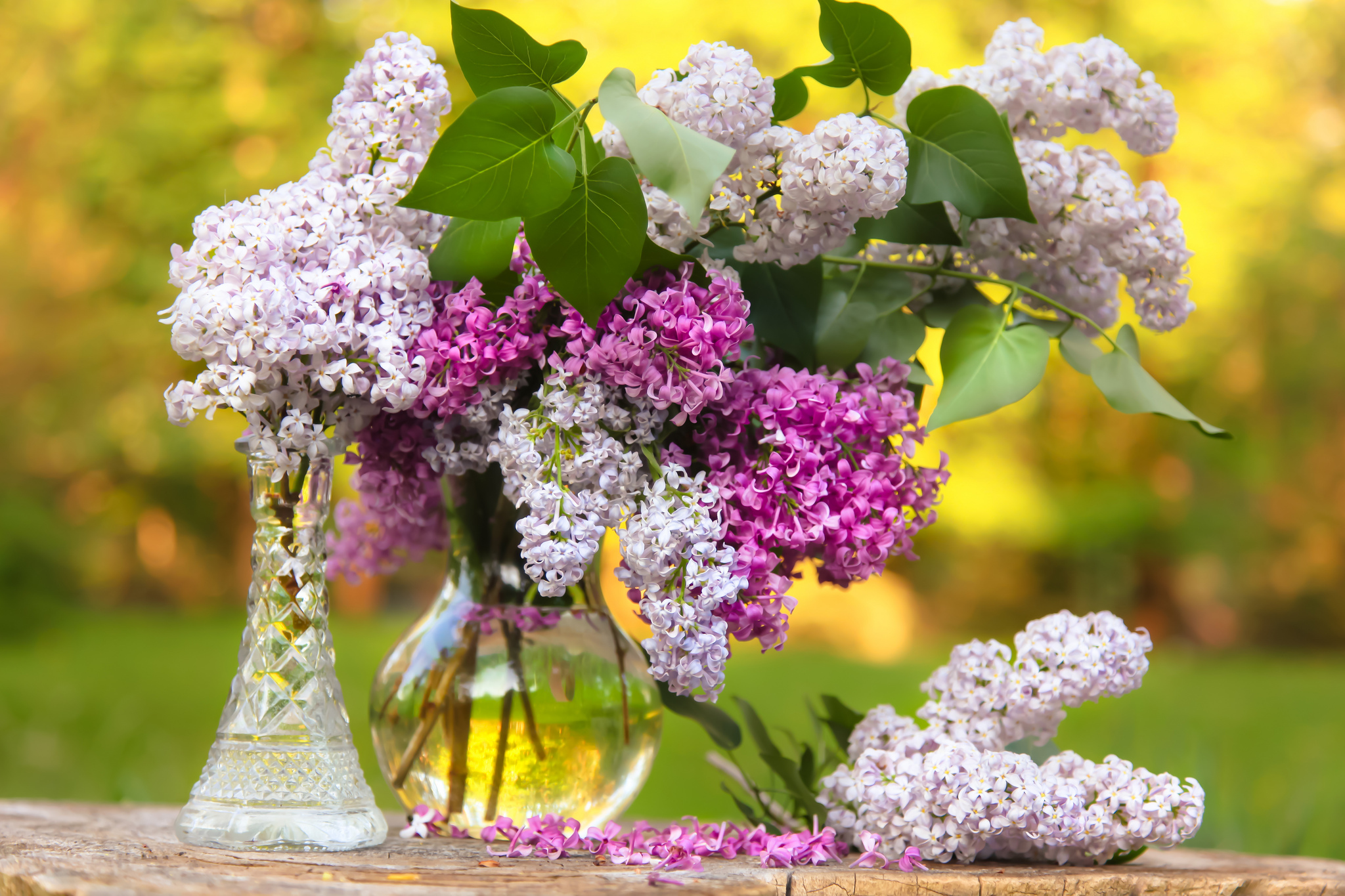 lilac, Bouquet, Vase, Bokeh Wallpaper