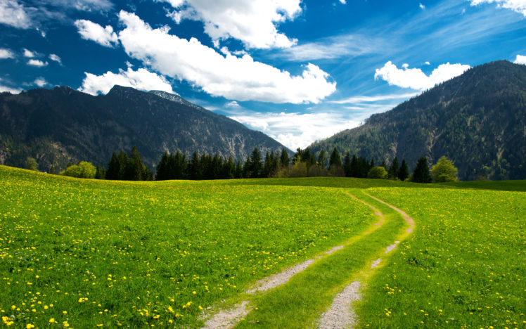 mountains, Landscape, Trees, Clouds, Sky, Pasture, The, Bavarian, Alps HD Wallpaper Desktop Background