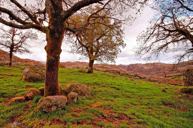 mountains, Trees, Rocks, Fall, Landscape, Autumn HD Wallpaper Desktop Background