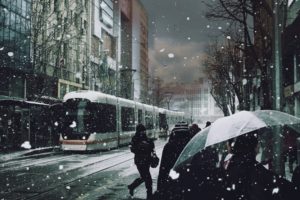 winter,  season , Trees, Cityscapes, Streets, Tram, Roads, Snowing