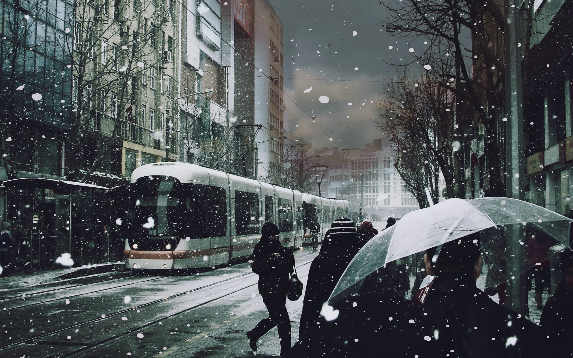 winter,  season , Trees, Cityscapes, Streets, Tram, Roads, Snowing Wallpaper