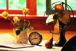 blades, Fan, Desk, Window, Work, Clock, Alarm, Background, Pear, Glasses, Flowers, Pitcher, Roses, Book