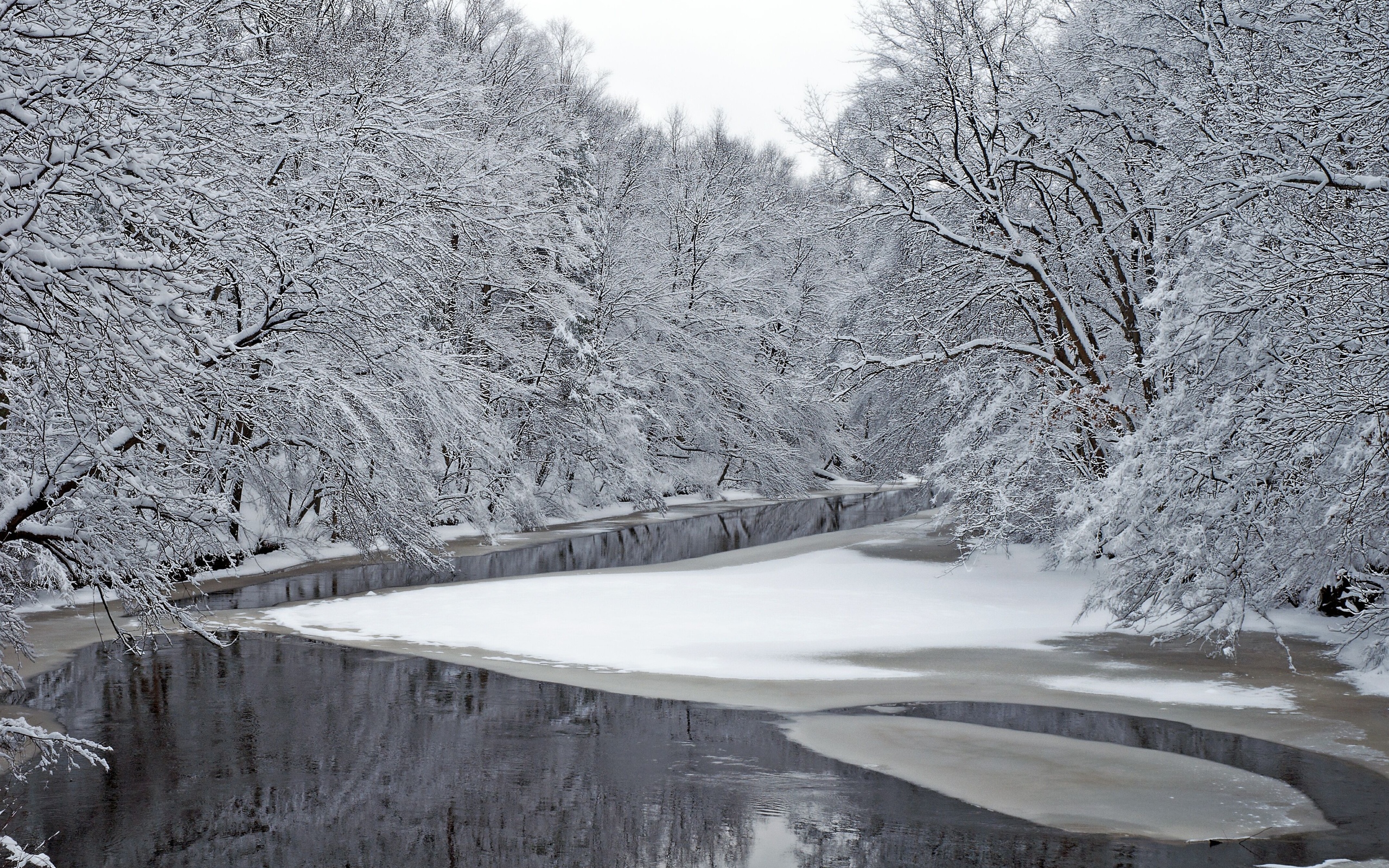 winter, River, Trees, Landscape Wallpaper