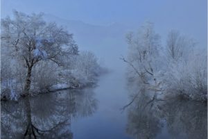 winter, River, Trees, Landscape