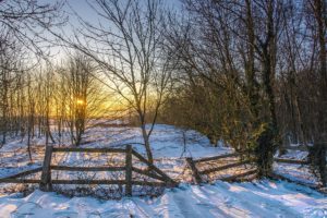 winter, Sunset, Fence, Trees, Landscape