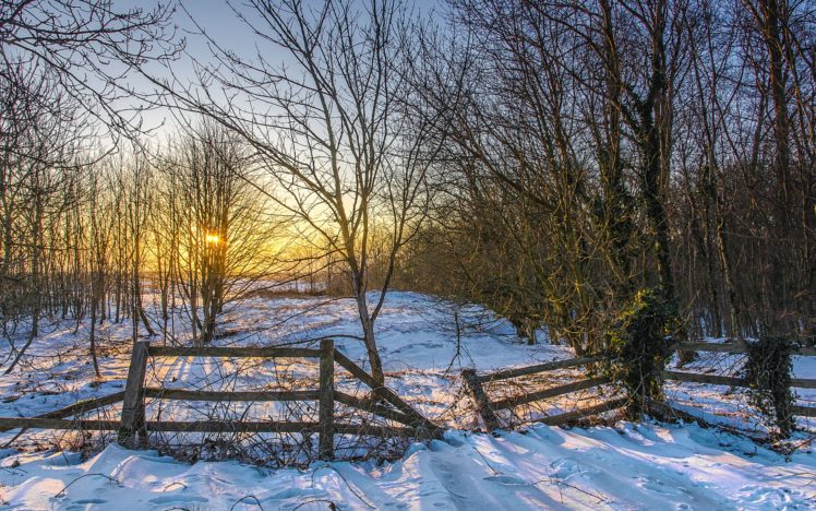 winter, Sunset, Fence, Trees, Landscape HD Wallpaper Desktop Background