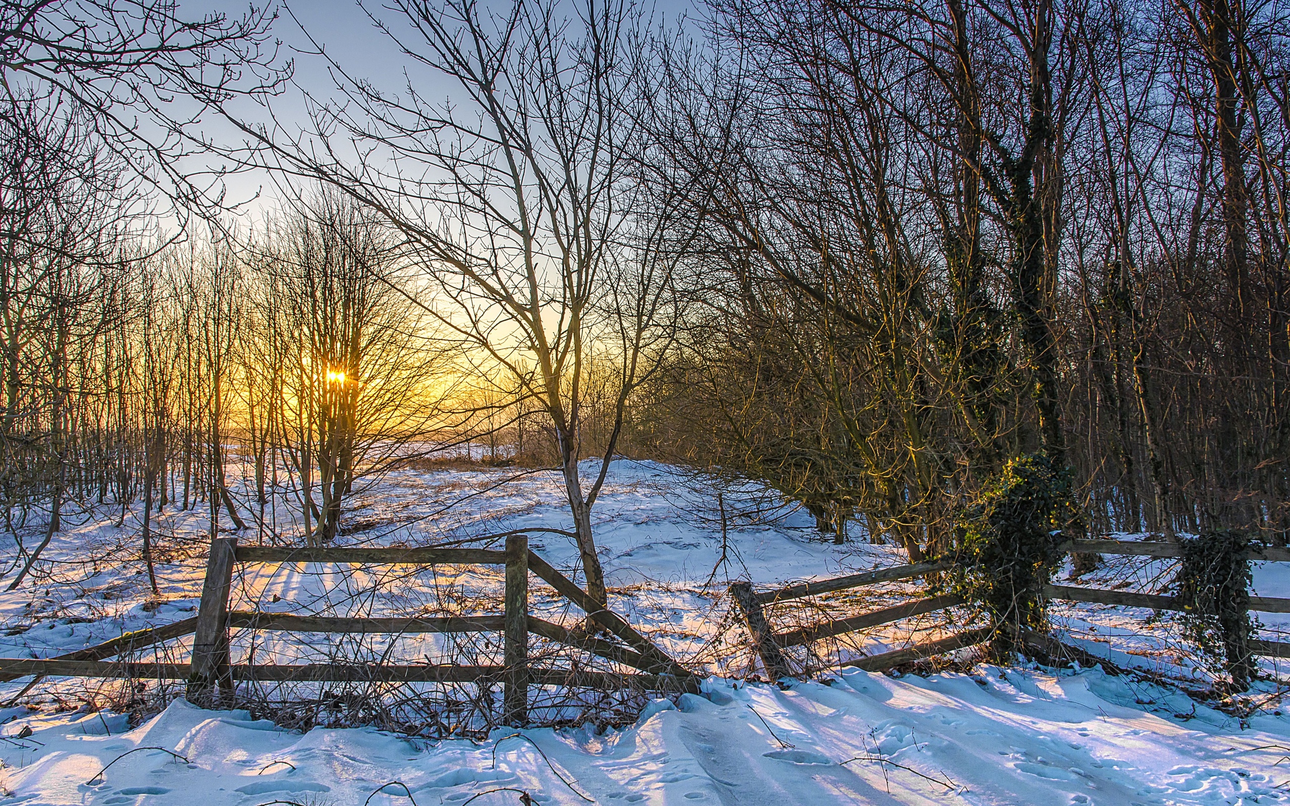 winter, Sunset, Fence, Trees, Landscape Wallpaper
