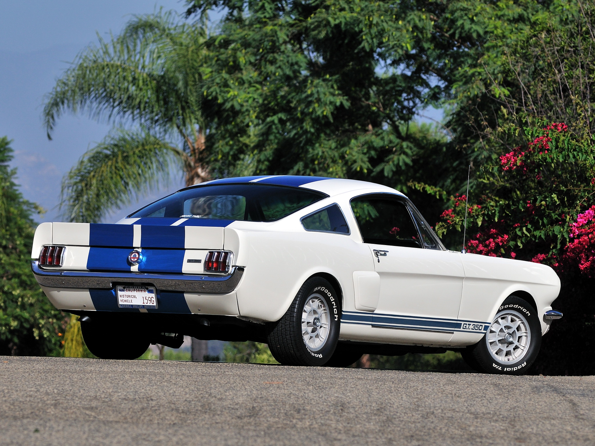 1966, Shelby, Gt350, Ford, Mustang, Classic, Mustang, Muscle, Gd Wallpaper