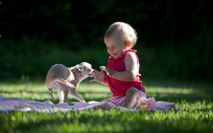 baby, Dogs HD Wallpaper Desktop Background