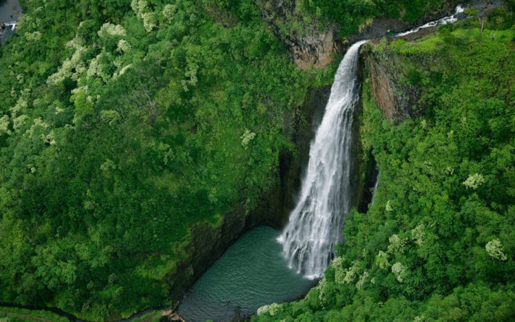nature, Forest, Waterfalls HD Wallpaper Desktop Background