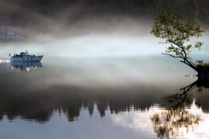 lake, Fog, Boat, Tree, Morning