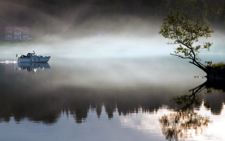 lake, Fog, Boat, Tree, Morning HD Wallpaper Desktop Background