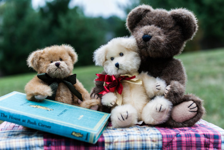toys, Teddy, Bears HD Wallpaper Desktop Background