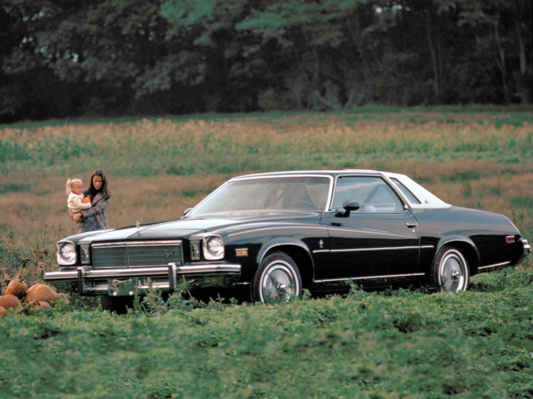 1975, Buick, Regal, Colonnade, Hardtop, Coupe HD Wallpaper Desktop Background