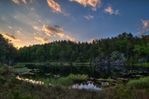 clouds, Landscapes, Trees, Forest, Grass, Lakes, Skyscapes