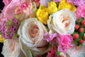 bouquets, Roses, Closeup, White, Flower