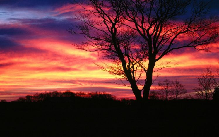 sunset, Trees, Multicolor, Skyscapes HD Wallpaper Desktop Background