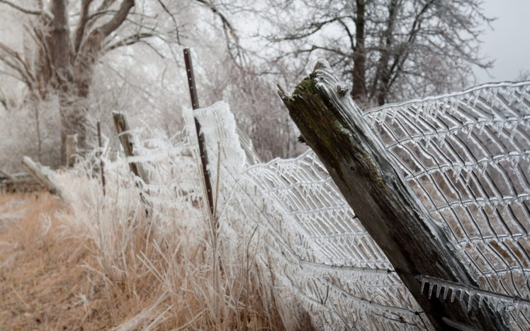 fence, Ice, Nature, Autumn, Winter HD Wallpaper Desktop Background