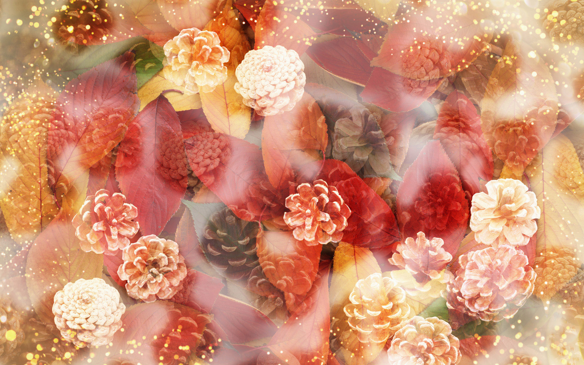 leaves, Cones, Autumn, Thanksgiving Wallpaper