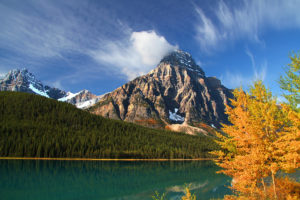 alberta, Canada, Lake, Mountain, Forest, Trees, Autumn