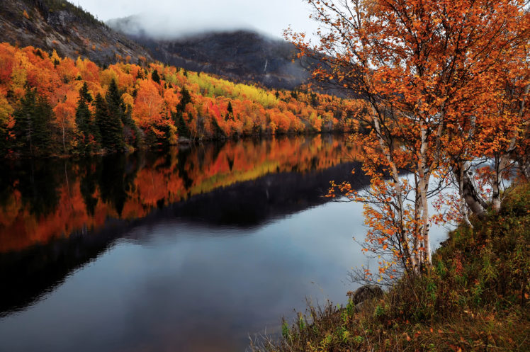 canada, Autumn, River HD Wallpaper Desktop Background