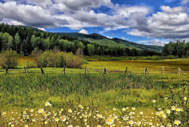 meadow, Flowers, Daisies, Fence, Trees, Mountains, Clouds HD Wallpaper Desktop Background