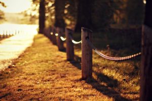 road, Grass, Lawn, Fence, Fence, Trees, Light, Nature, Autumn, Close up, Blurred, Bokeh