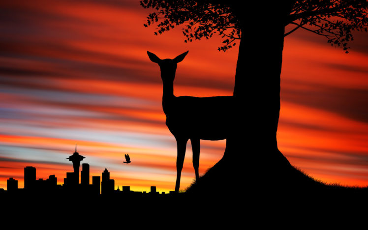seattle, Sunset, Deer HD Wallpaper Desktop Background