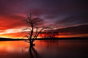 water, Sunrise, Landscapes, Silhouette, Typography, Dam, Australia, Lakes, Seascapes, Reflections, Photomanipulations