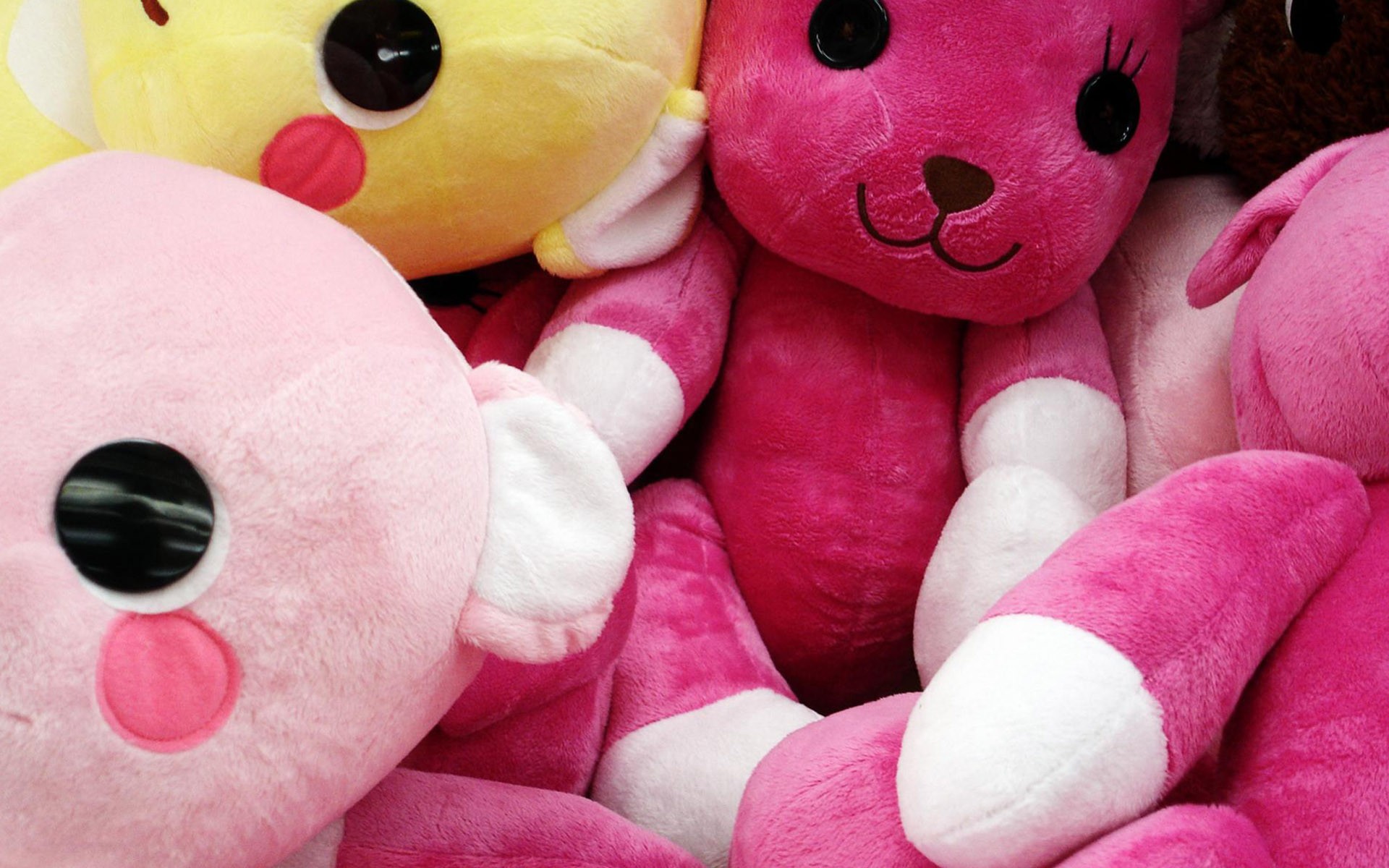 litle bear Wallpaper