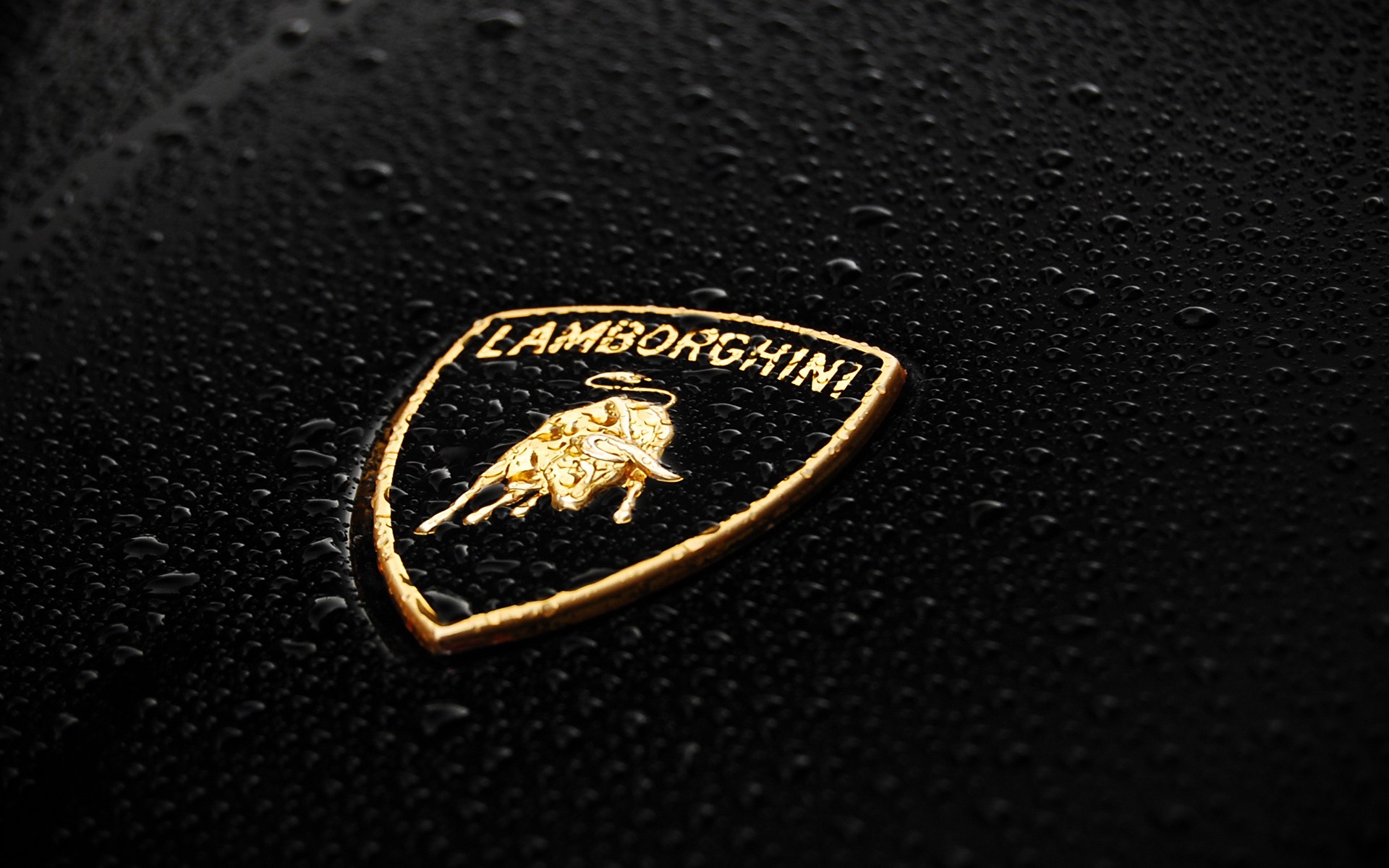 cars, Lamborghini, Logos Wallpaper