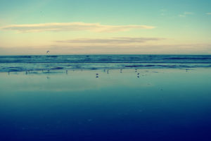 water, Ocean, Landscapes, Seagulls